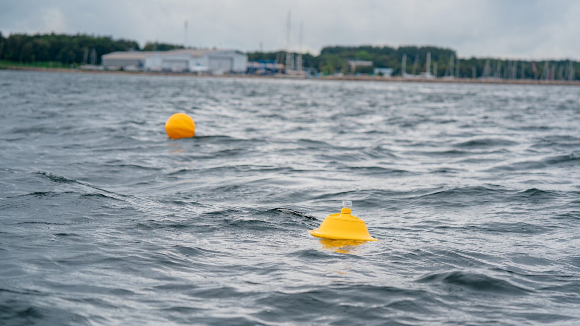 Nutikas merepoi soovib vallutada maailmamerd