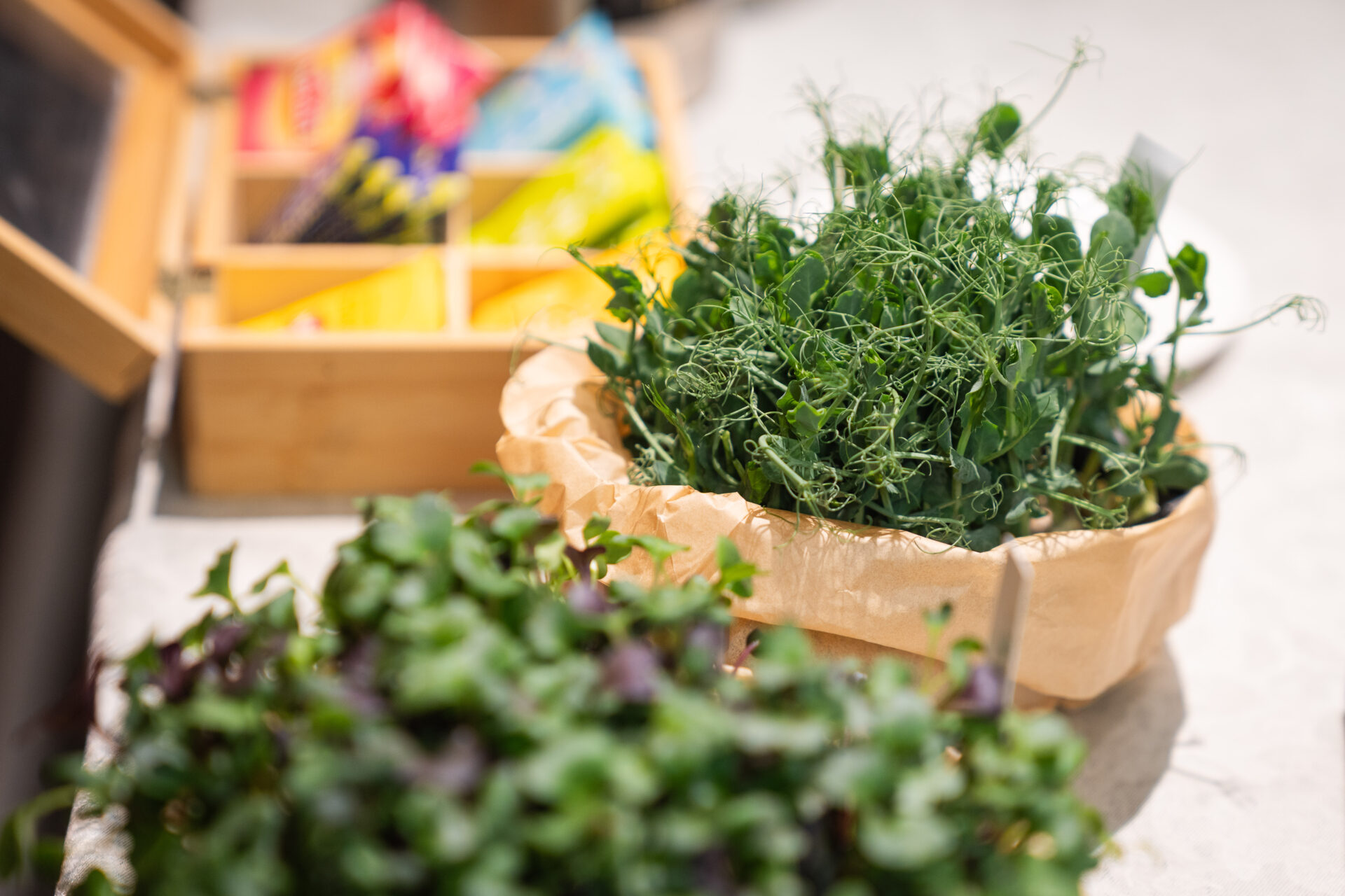 Urban Farmi tegevjuht Artur Sirkel: Tallinnovation aitas meil teha esimese suure sammu välisturule