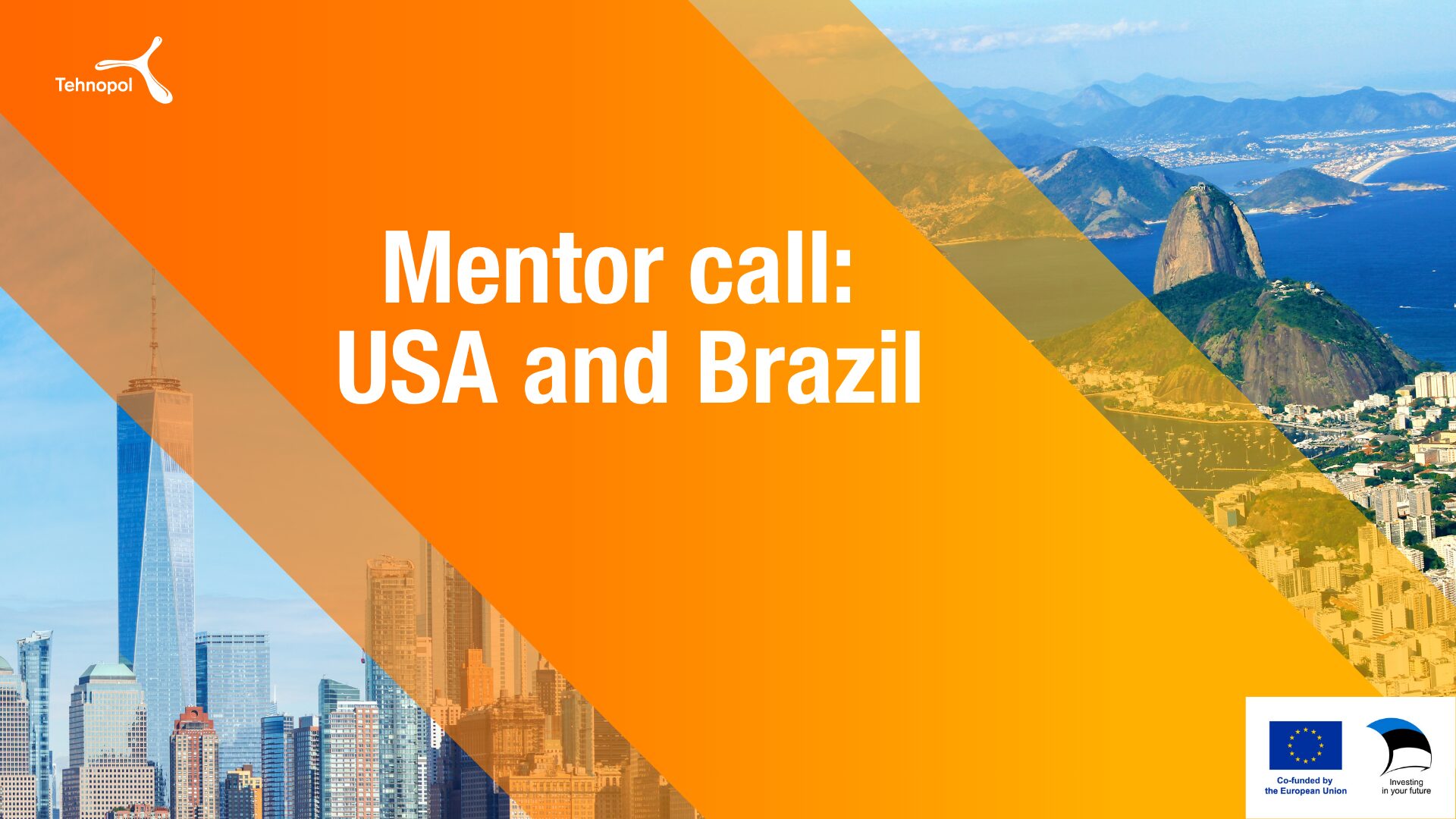 Tehnopol is looking for mentors to support companies expanding to the USA and Brazil